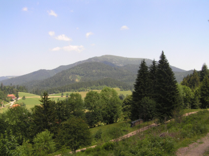 Badenweiler-mittel