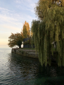 Bodensee (1)