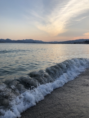 Cannes (114) (300x400)
