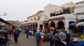 Essaouira (8) (350x194)