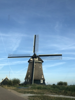 NL (9)