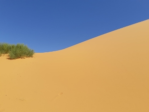 Sahara (14) (300x225)