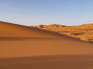 Sahara (25) (300x225)