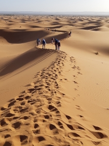 Sahara (5) (225x300)