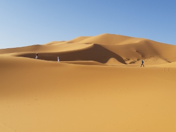 Sahara (7) (350x263)